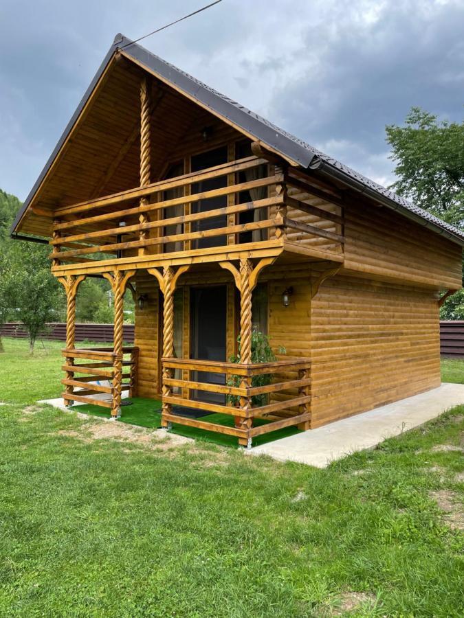 Pensiunea Felyviss Albac Exterior foto