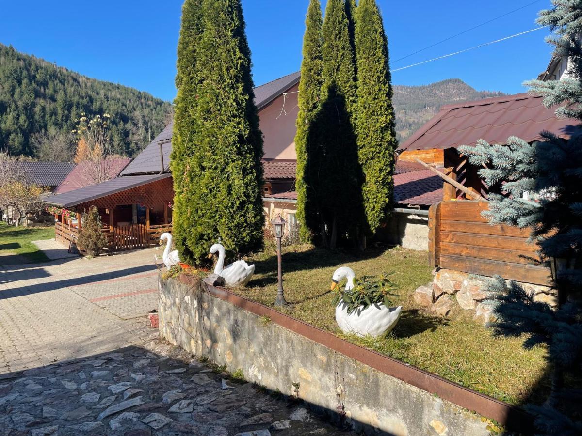 Pensiunea Felyviss Albac Exterior foto