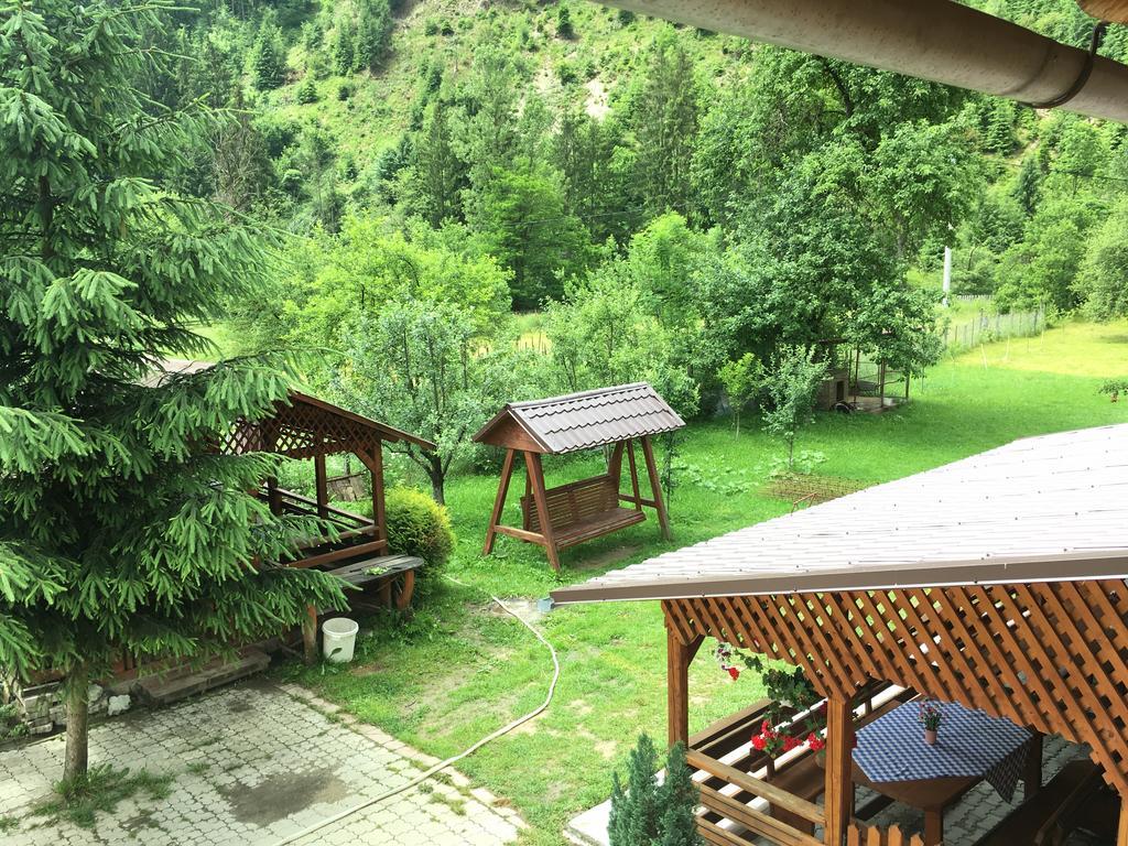 Pensiunea Felyviss Albac Exterior foto