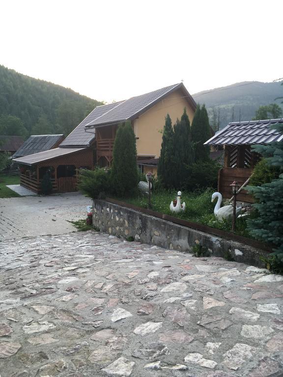 Pensiunea Felyviss Albac Exterior foto